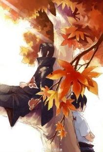 火影忍者鼬最新爆料视频,火影忍者最新爆料视频揭秘神秘真相  第3张